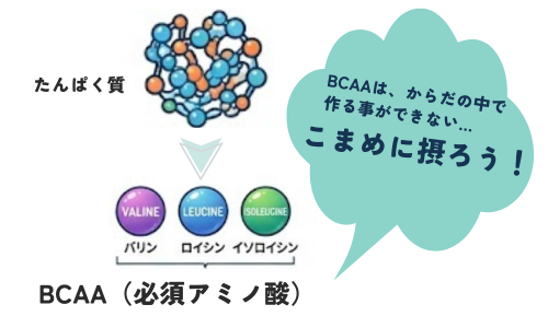 BCAA説明画像