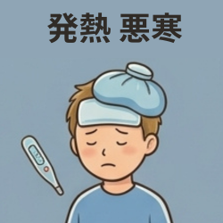 発熱・悪寒の医薬品はこちら
