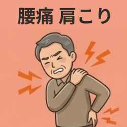 肩こり・腰痛の医薬品はこちら