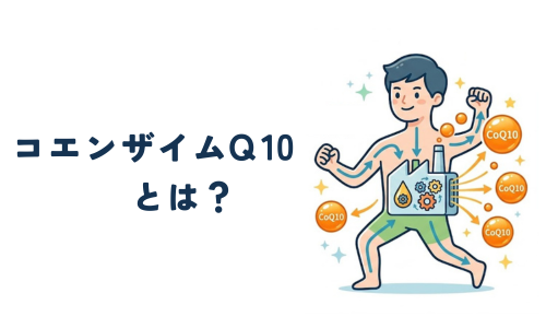 コエンザイムＱ10説明画像