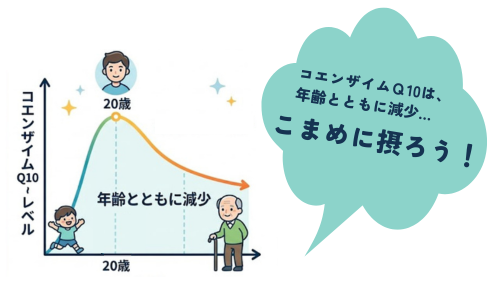 コエンザイムＱ10説明画像