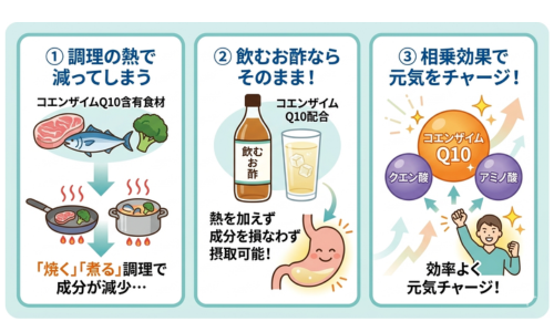 説明画像