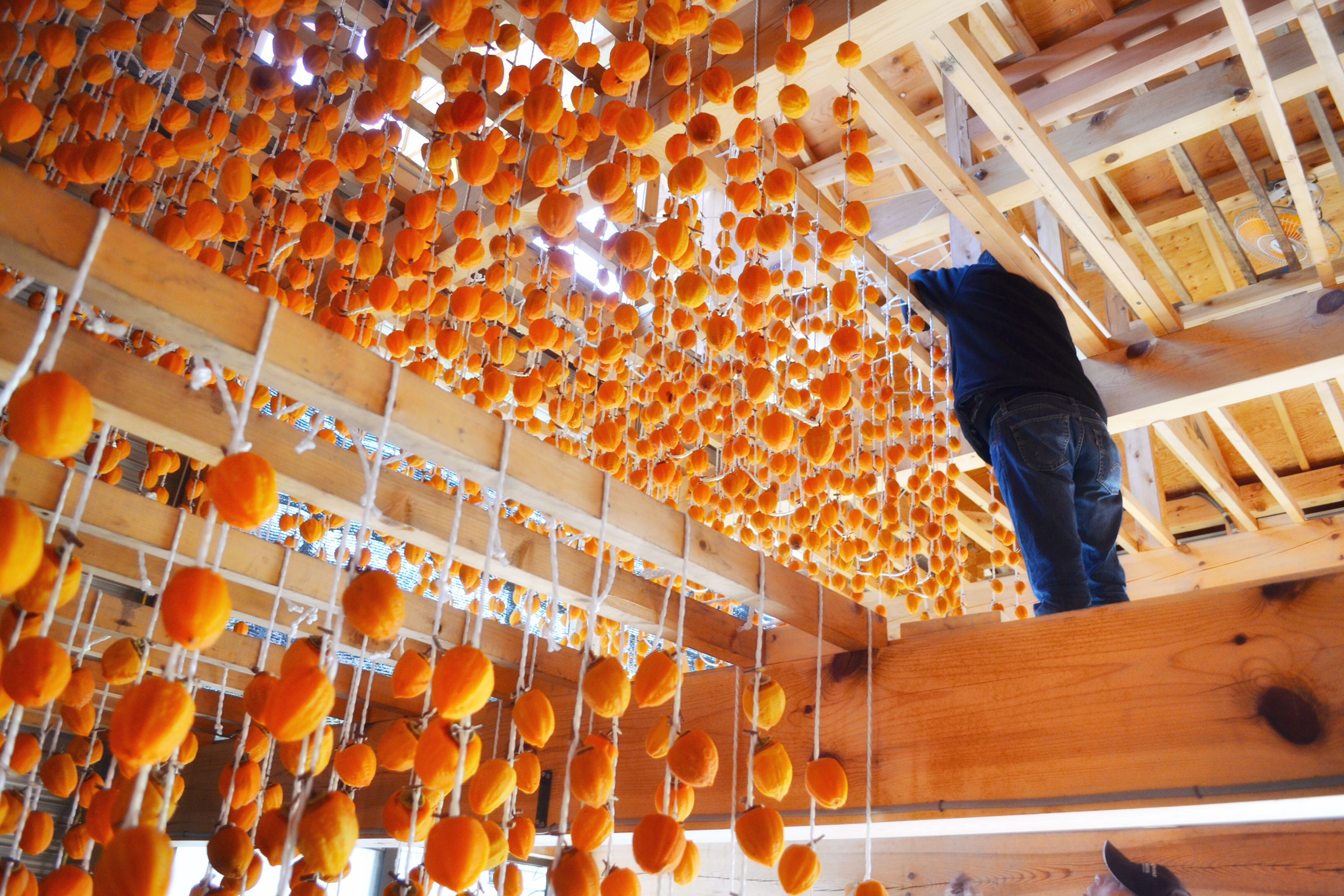 あんぽ柿の製造風景