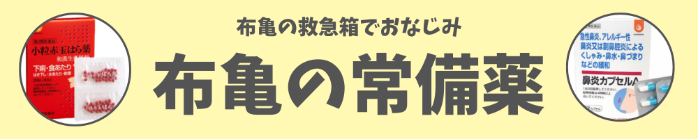 常備薬一覧はこちら