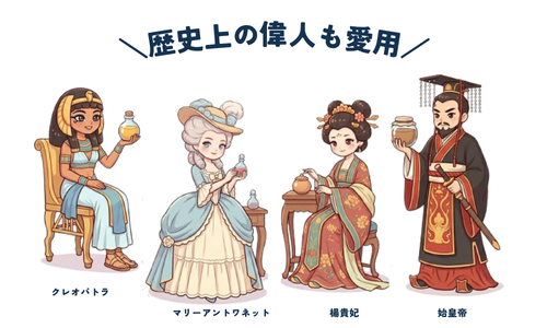 プラセンタ説明画像