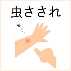 虫さされ・かゆみの医薬品はこちら