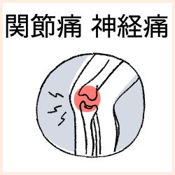 関節痛・神経痛の医薬品はこちら